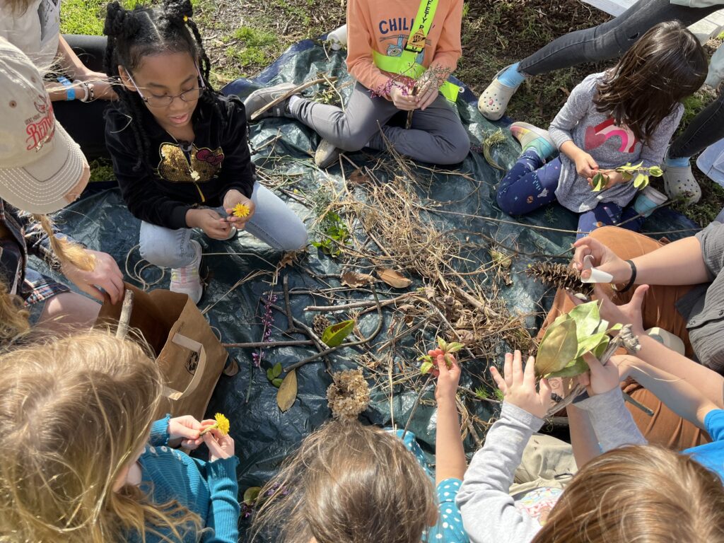 اوپن اسپیس ایجوکیشن